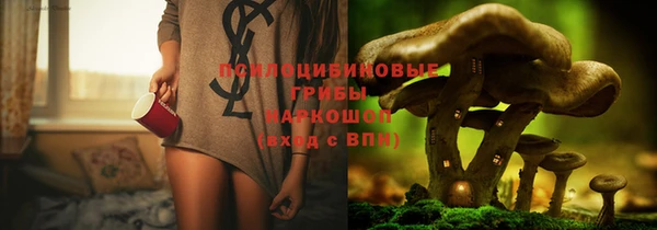 трава Аркадак