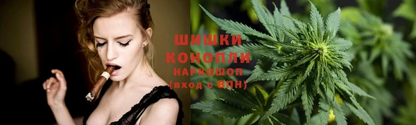 трава Аркадак