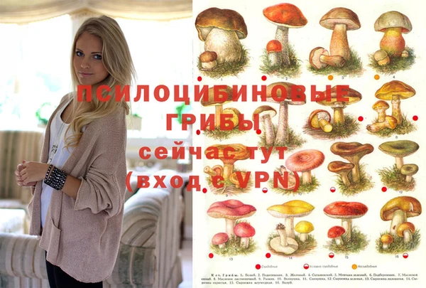 скорость Семикаракорск