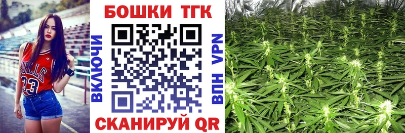 наркошоп  Бодайбо  Конопля сатива 